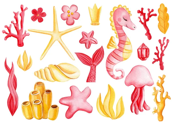 Set acquerello di conchiglie, cavalluccio marino, stelle marine su sfondo bianco isolato, disegnato a mano, clipart marino estivo — Foto Stock