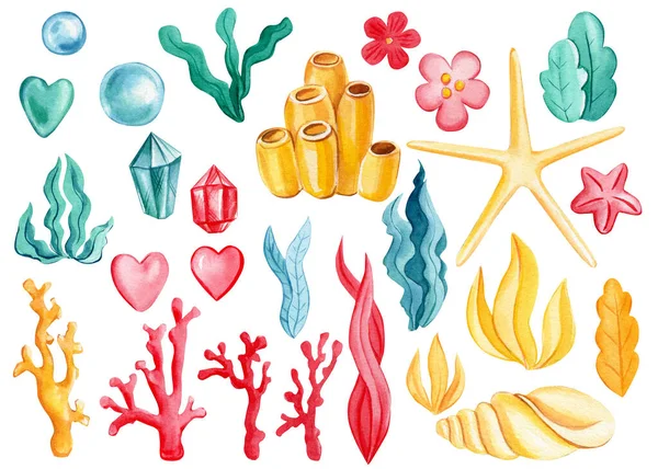 Set sea elements, starfish, algae, bubbles, coral on an isolated white background. Watercolor drawing — ストック写真