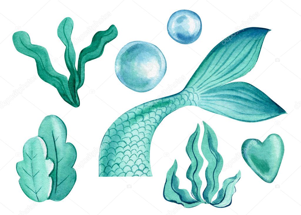 Coda di sirena, bolle, alghe su uno sfondo bianco isolato. Disegno ad  acquerello Illustrazione stock di ©gringoann #565511634
