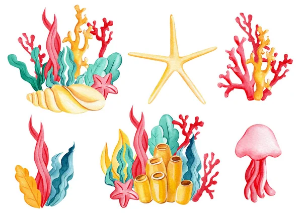 Sätt korall, sjöstjärnor, maneter och alger på en isolerad vit bakgrund. Akvarellteckning — Stockfoto
