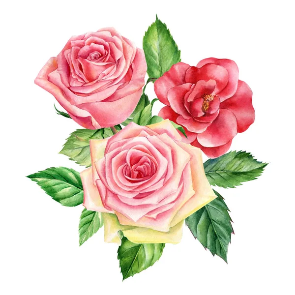 Flores rosas e folhas sobre um fundo isolado, aquarela ilustração botânica, flora desenhada à mão — Fotografia de Stock
