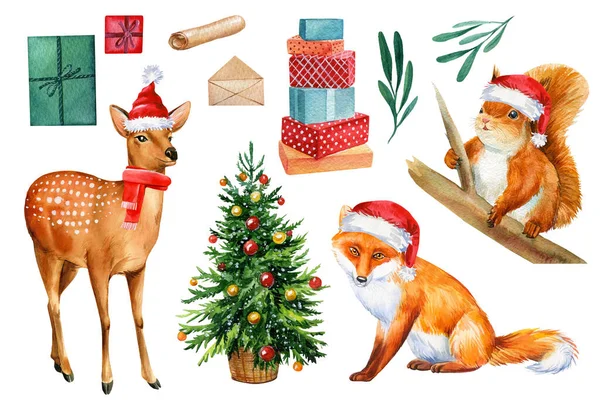 Mókus, szarvas, karácsonyfa és ajándékok elszigetelt fehér háttér, téli állatok. Akvarell illusztrációk, — Stock Fotó