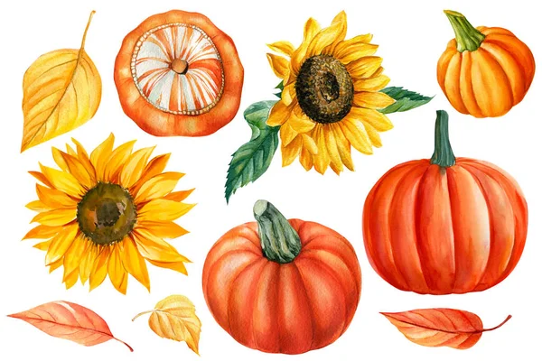 Pumpkin, dried leaves, sunflower. Autumn watercolor illustration isolated on white background, — Stok fotoğraf