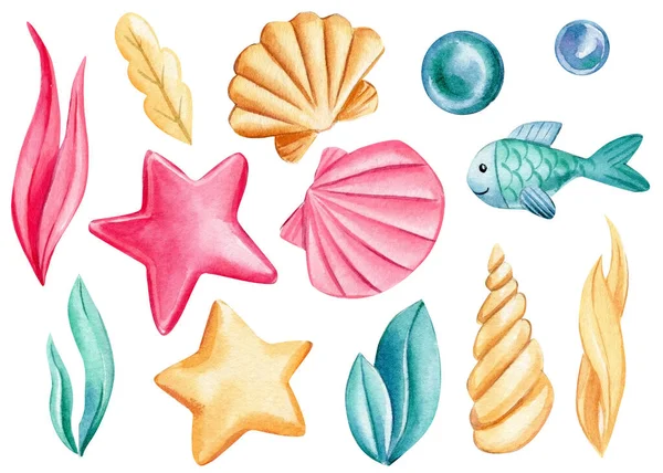 Seashells, bubbles, starfish on an isolated white background. Watercolor drawing — Photo