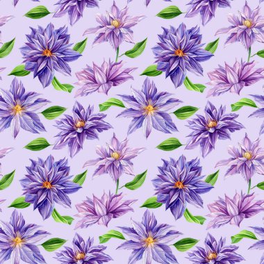 Suluboya klematis çiçek deseni. Duvar kağıdı, ambalaj kağıdı, arka plan, kumaş için tasarım. pürüzsüz arkaplan