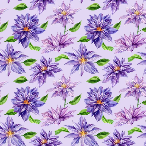 Suluboya klematis çiçek deseni. Duvar kağıdı, ambalaj kağıdı, arka plan, kumaş için tasarım. pürüzsüz arkaplan