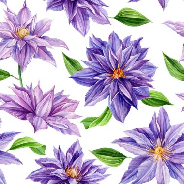 Suluboya menekşe çiçeği. Duvar kağıdı, ambalaj kağıdı, arka plan, kumaş için tasarım. Kusursuz desenli klematis çiçekleri.