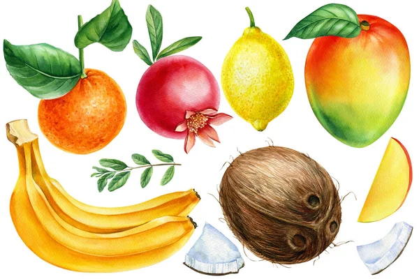 Zitrone, Mandarine, Granatapfel, Banane und Kokosnuss. Hintergrund der Öko-Speisekarte. Aquarell handgezeichnete Früchte — Stockfoto