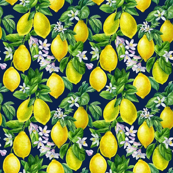 Branches of fresh citrus fruit lemons with green leaves and flowers on black. Watercolor illustration. seamless pattern — 스톡 사진