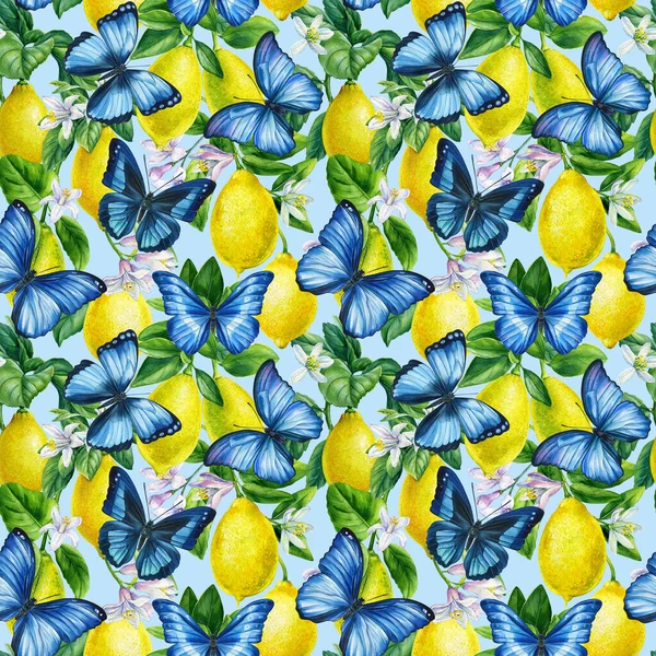 Citrusové citrony se zelenými listy, květy a modrým motýlem. Ručně kreslený akvarel. hladký vzor — Stock fotografie