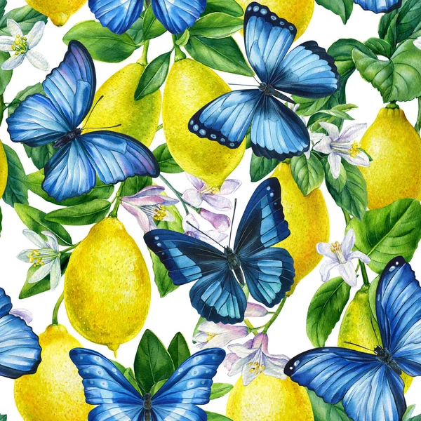 新鮮なレモンと青蝶の枝。手描き水彩画。シームレスなパターン — ストック写真