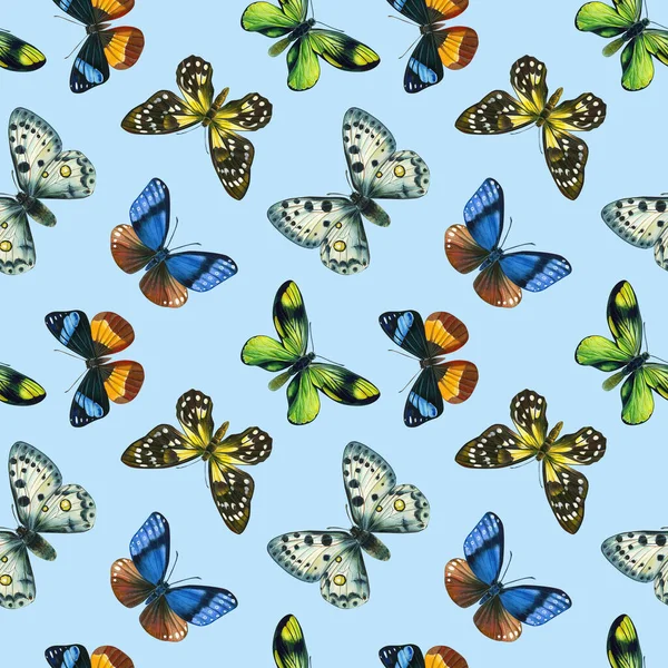 Butterflies Watercolor illustration. Isolated blue background. Seamless pattern. Design for fabric, textile, paper — Stock fotografie