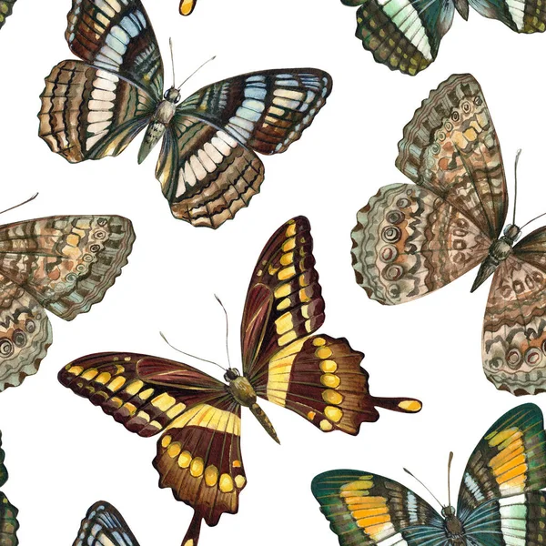 熱帯蝶。水彩蝶のイラスト。シームレスなパターン。ファッション、ファブリック、テキスタイルのデザイン — ストック写真