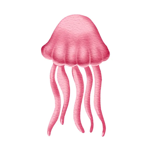 Pink Hand painted jellyfish. Undersea world — стокове фото