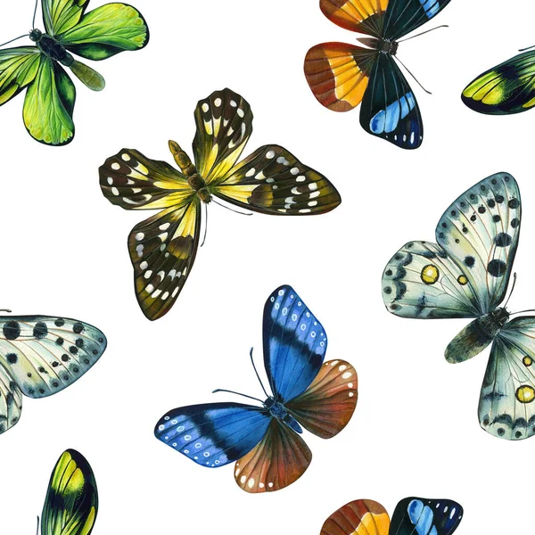 Тропічні метелики. Акварель ботанічна ілюстрація. Безшовні візерунки. Дизайн для моди, тканини, текстилю — стокове фото