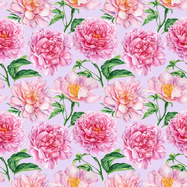 Seamless pattern of peonies, pink flower background template. Watercolor floral design — Φωτογραφία Αρχείου