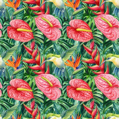 Tropik, pürüzsüz desen. Sinekkuşu, çiçekler ve canavar yaprakları. Suluboya çizimi