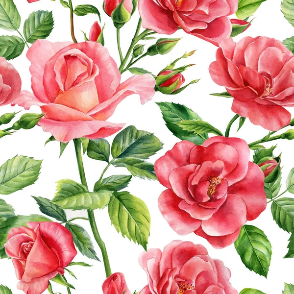 Hand drawn watercolor roses. Trendy seamless floral pattern — Stock Photo, Image