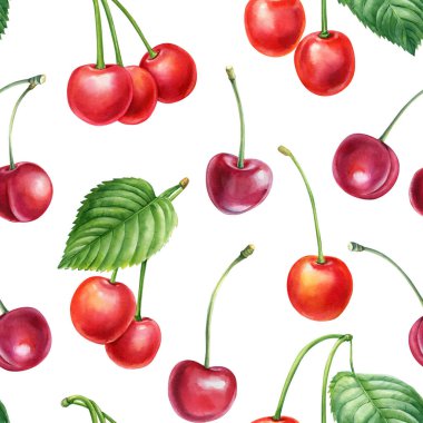 Beyaz arka planda izole edilmiş kusursuz kiraz deseni. Suluboya böğürtlen. Botanik illüstrasyon