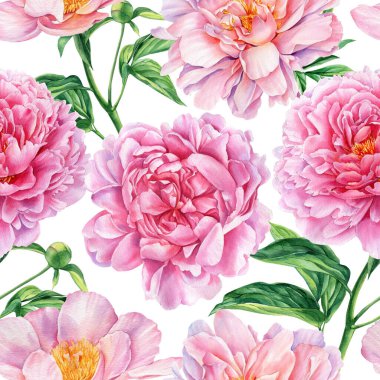 Kusursuz şakayık deseni, çiçek arkaplan şablonu. Suluboya pembe çiçek tasarımı