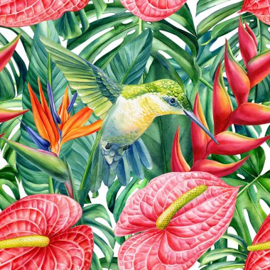 Tropical seamless pattern. Hummingbird, flowers and monstera leaves background. Watercolor illustration