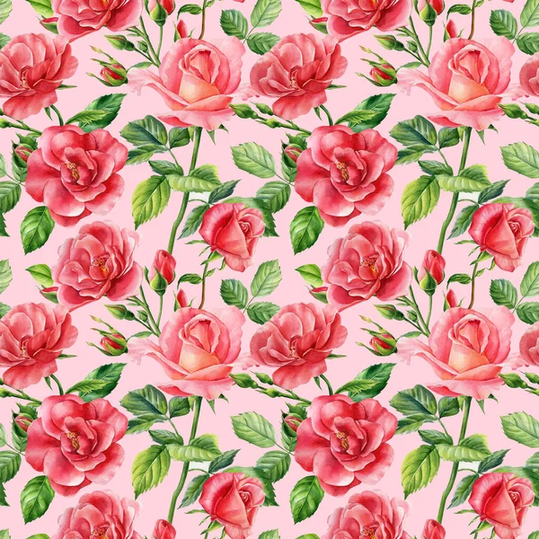 Watercolor roses flowers. floral Seamless pattern — Zdjęcie stockowe