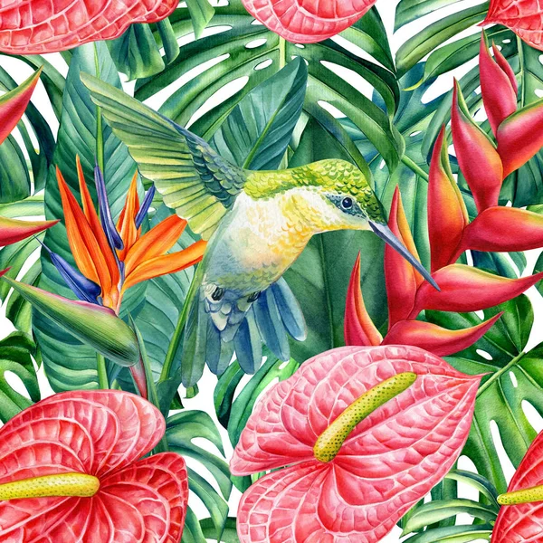 Tropical seamless pattern. Hummingbird, flowers and monstera leaves background. Watercolor illustration — 스톡 사진