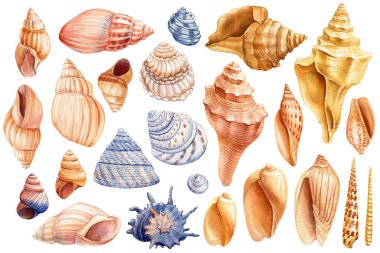 İzole edilmiş beyaz bir zemin, el çizimi, suluboya yaz denizi zirvesi