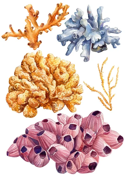 Undervattensset med korall. Akvarell havet illustration. — Stockfoto