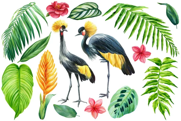 熱帯鳥、ヤシの葉や孤立した白い背景に花、水彩画のイラスト。ジャングルデザイン — ストック写真