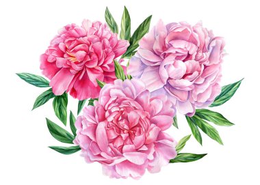 Beyaz arka planda şakayık çiçekleri suluboya, düğün davetiyesi. Yüksek kaliteli illüstrasyon