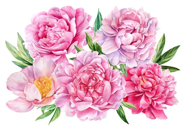 一束粉红色的花朵 牡丹上白色孤立的背景水彩画 婚宴请柬 高质量的例证 — 图库照片