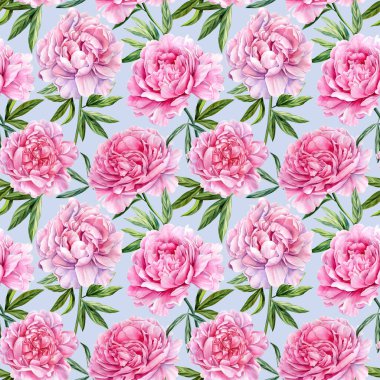 Kusursuz şakayık deseni, bir buket pembe çiçek suluboya illüstrasyon, dijital kağıt. Yüksek kaliteli illüstrasyon