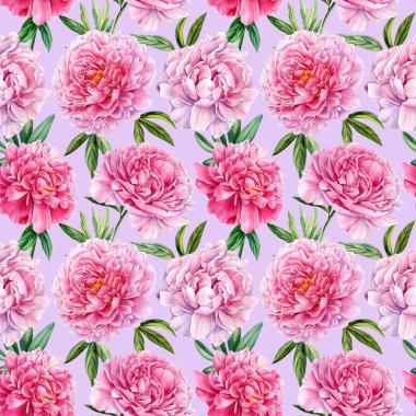 Kusursuz şakayık deseni, bir buket yaz çiçeği suluboya çizimi, çiçekli dijital tasarım. Yüksek kaliteli illüstrasyon