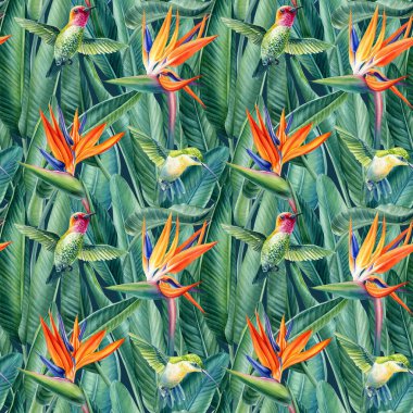 Suluboya desensiz tropikal yapraklar ve kuş çiçekleri, modern egzotik orman bitkilerinin orman resimleri. Yüksek kaliteli illüstrasyon