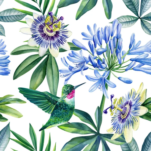 Bezešvé Akvarely Kolibřík Listy Vášnivé Květiny Džungle Pozadí Vysoce Kvalitní — Stock fotografie