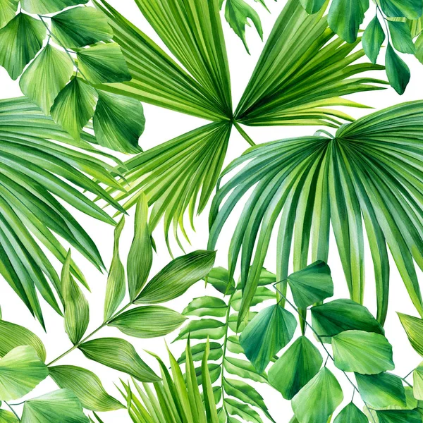Seamless pattern. Tropical palm green leaves on white background. . High quality illustration