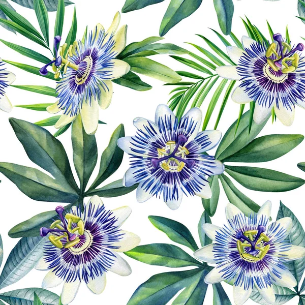 Akvarel Tropické Listy Květy Vášně Džungle Pozadí Bezproblémový Vzorec Vysoce — Stock fotografie
