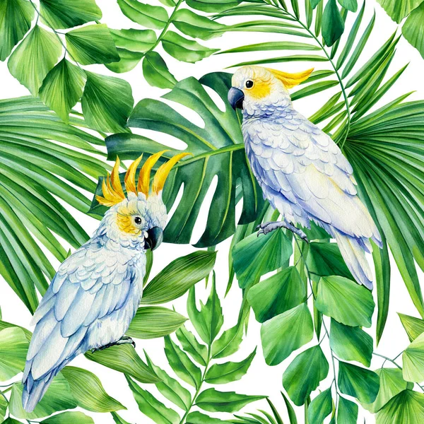 热带无缝图案 科卡托鸟和棕榈叶 背景为白色 野性设计 高质量的例证 — 图库照片