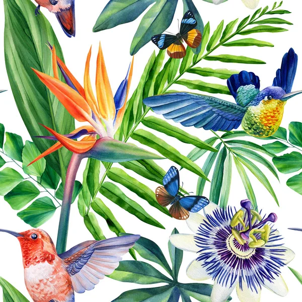 水彩斑斓的热带树叶 蜂鸟和花朵 丛林背景 高质量的例证 — 图库照片