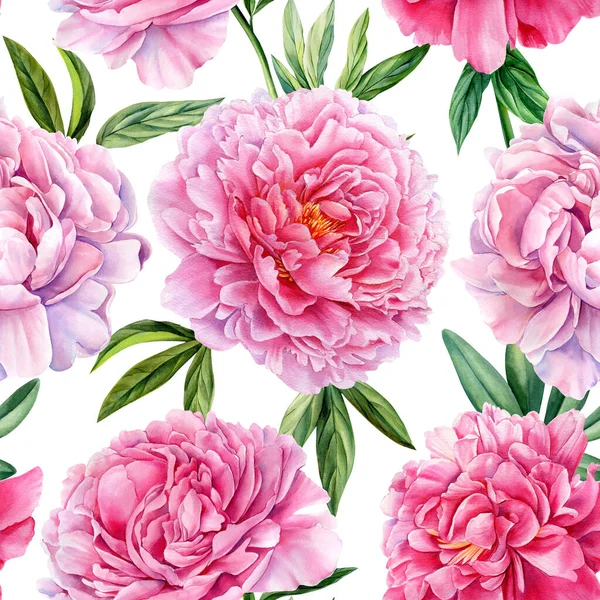 牡丹の花のシームレスなパターン 水彩イラスト 花のデジタルデザイン 高品質のイラスト — ストック写真
