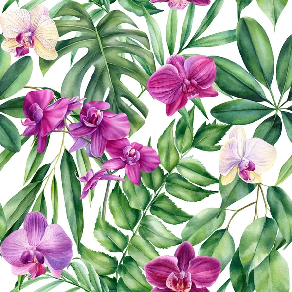 Пальмовые Листья Тропические Цветы Орхидей Акварельные Ботанические Иллюстрации Бесшовные Цветочные — стоковое фото