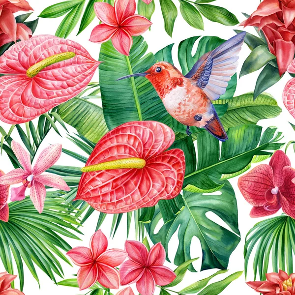水彩植物 热带树叶 花朵和蜂鸟 无缝图案 高质量的例证 — 图库照片