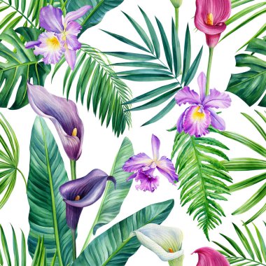 Tropik yapraklar suluboya, güzel çiçekler, palmiye yapraklı el çizimi. Çiçeksiz desen. Yüksek kaliteli illüstrasyon