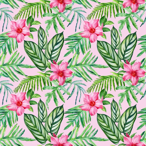 아름다운 야자나무 잎그리기 꽃무늬가 디자인 질높은 — 스톡 사진