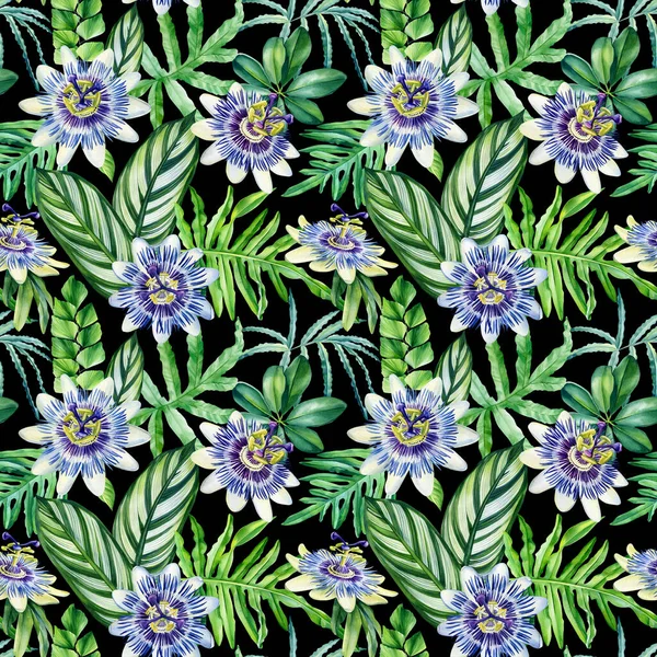 Plantas Tropicais Aquarela Flores Passionflower Desenho Mão Folha Palma Padrão — Fotografia de Stock
