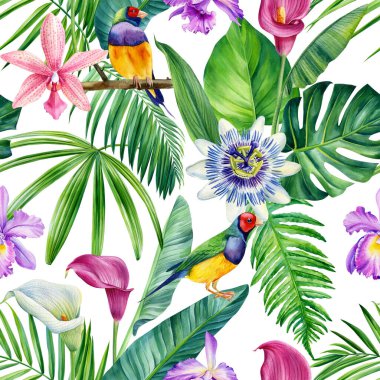 Tropik yapraklar suluboya, güzel çiçekler, palmiye yapraklı el çizimi. Çiçeksiz desen. Yüksek kaliteli illüstrasyon
