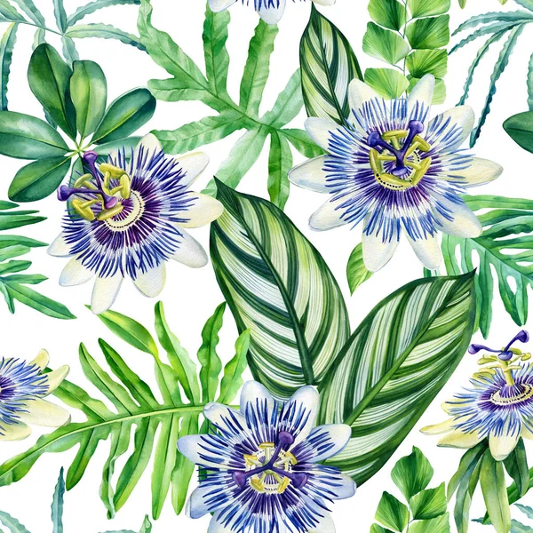 Padrão Sem Costura Plantas Tropicais Aquarela Flores Passionflower Desenho Mão — Fotografia de Stock