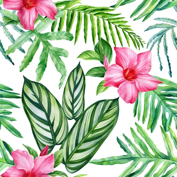 Tropik Yapraklar Suluboya Güzel Çiçekler Palmiye Yapraklı Çizimi Çiçeksiz Desen — Stok fotoğraf