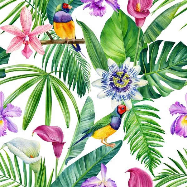 Tropik yapraklar suluboya, güzel çiçekler, palmiye yapraklı el çizimi. Çiçeksiz desen. Yüksek kaliteli illüstrasyon